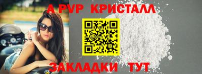 apvp Гусев