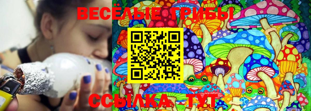 продажа наркотиков  Вход с VPN  Отрадный  Псилоцибиновые грибы Cubensis  Галлюциногенные грибы Psilocybe 