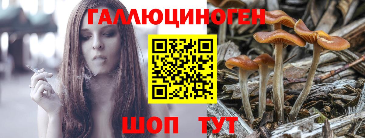 Галлюциногенные грибы Psilocybe Отрадный